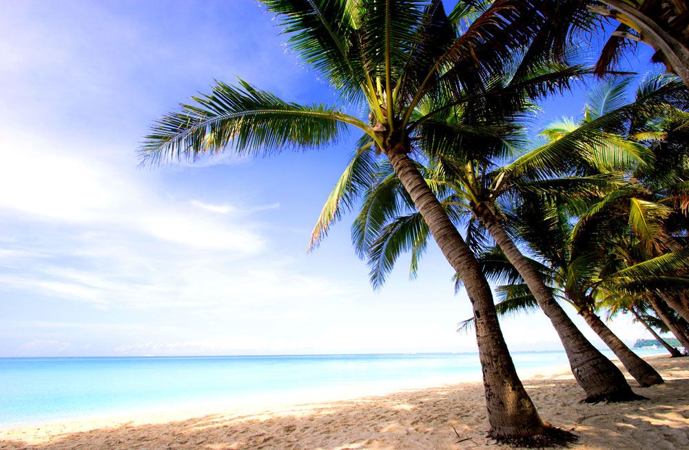 tahiti shore